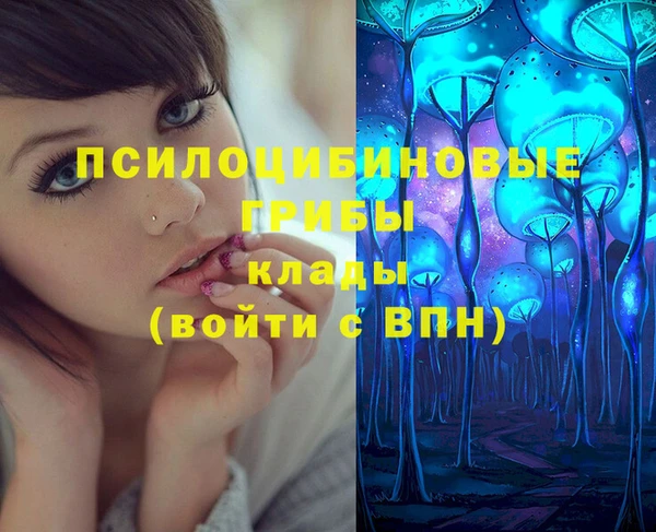 марки lsd Карпинск