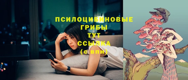метадон Касимов