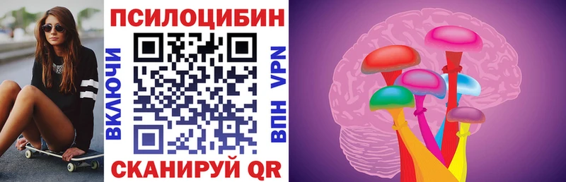 Купить  Кораблино  Псилоцибиновые грибы GOLDEN TEACHER 