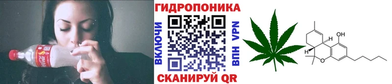 Каннабис план Кораблино